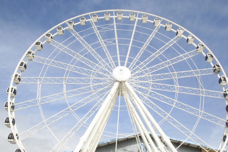 Wheely good fun