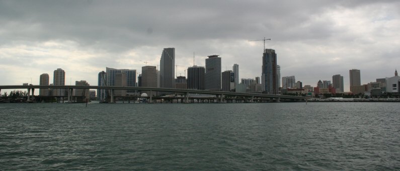 Miami Skyline