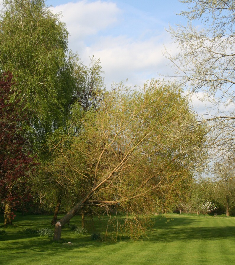 The first part of the final phase